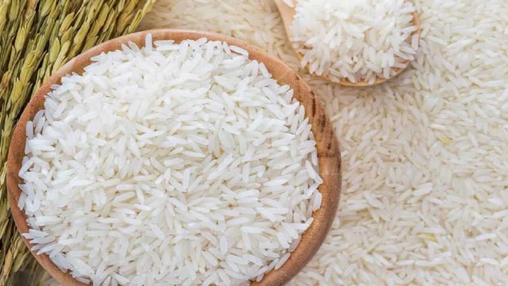 تولید بیش از ۸۸ هزار تن برنج سفید، ارمغان شالیزار‌های محمودآباد برای ایرانی ها