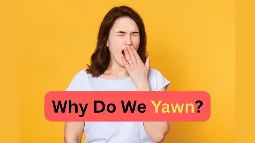 چرا خمیازه می‌کشیم؟ علم شگفت‌انگیز پشت این واکنش روزمره