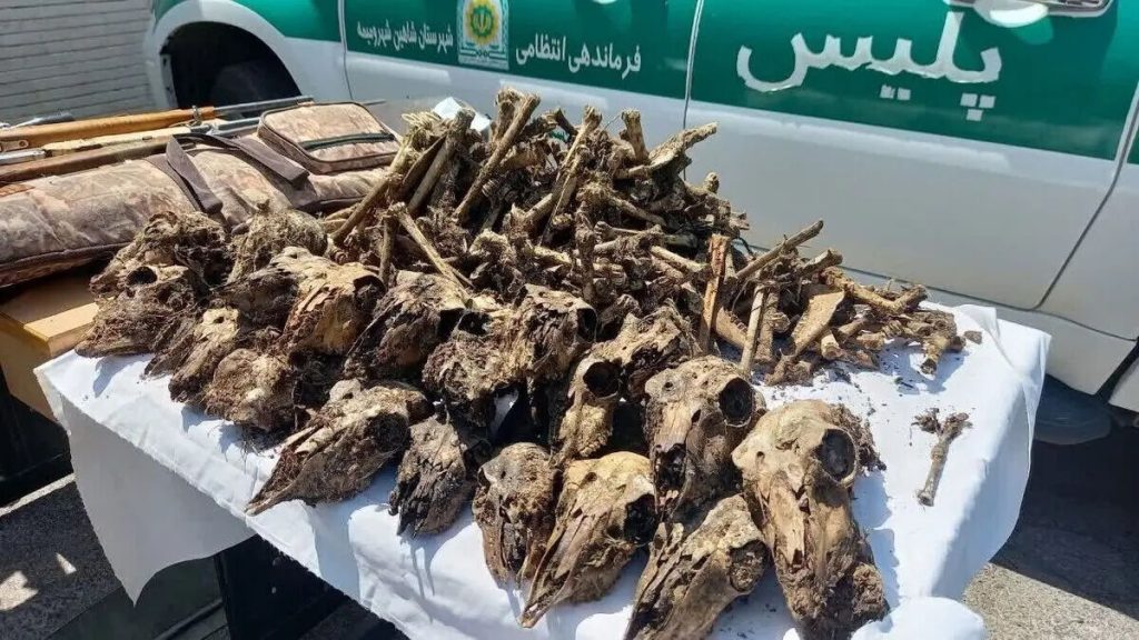 چاه پر از جمجمه در حاشیه «موته»/متخلفان نقره داغ می‌ شوند