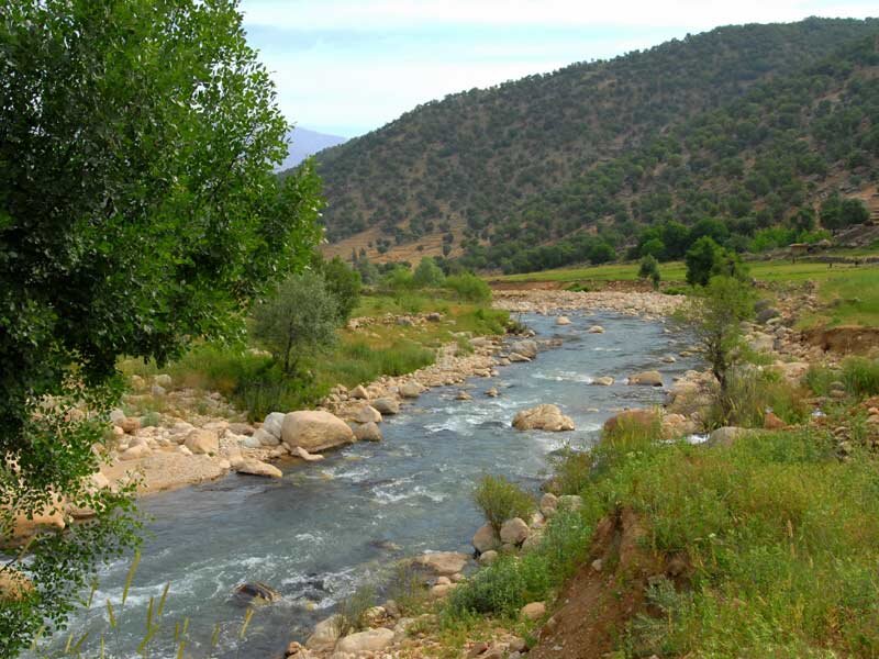 درگیری خونین محیط بانان و شکارچیان در تنگ صیاد | تصاویر دوربین‌ های دید در شب از این درگیری را ببینید