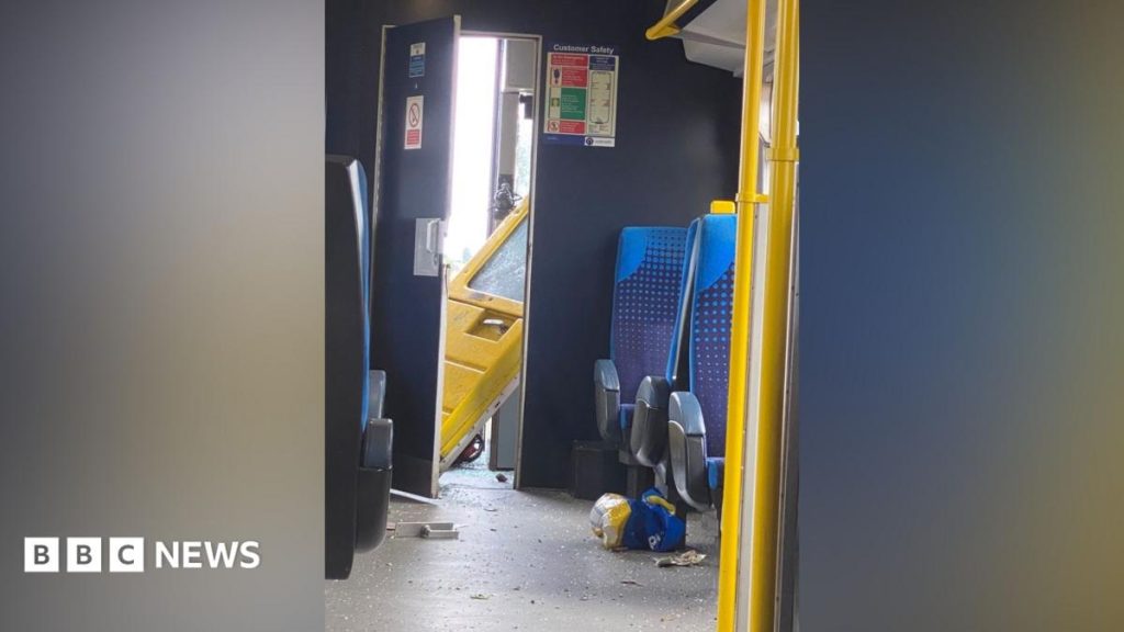 Mum says family 'lucky to be alive' after train crash