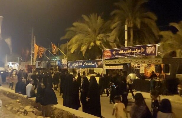 پیاده روی ۱۵ کیلومتری شب شهادت امام رضا(ع) در دشتستان