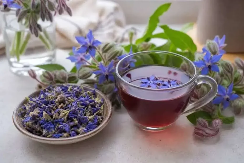 گل‌گاوزبان؛ آرام‌بخش طبیعی یا توهم درمانی؟