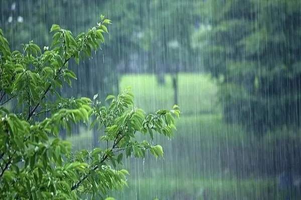 پیش بینی هوای همدان فردا ۸ شهریور ۱۴۰۵/ بارش باران به همراه وزش باد و غبار رقیق در راه است
