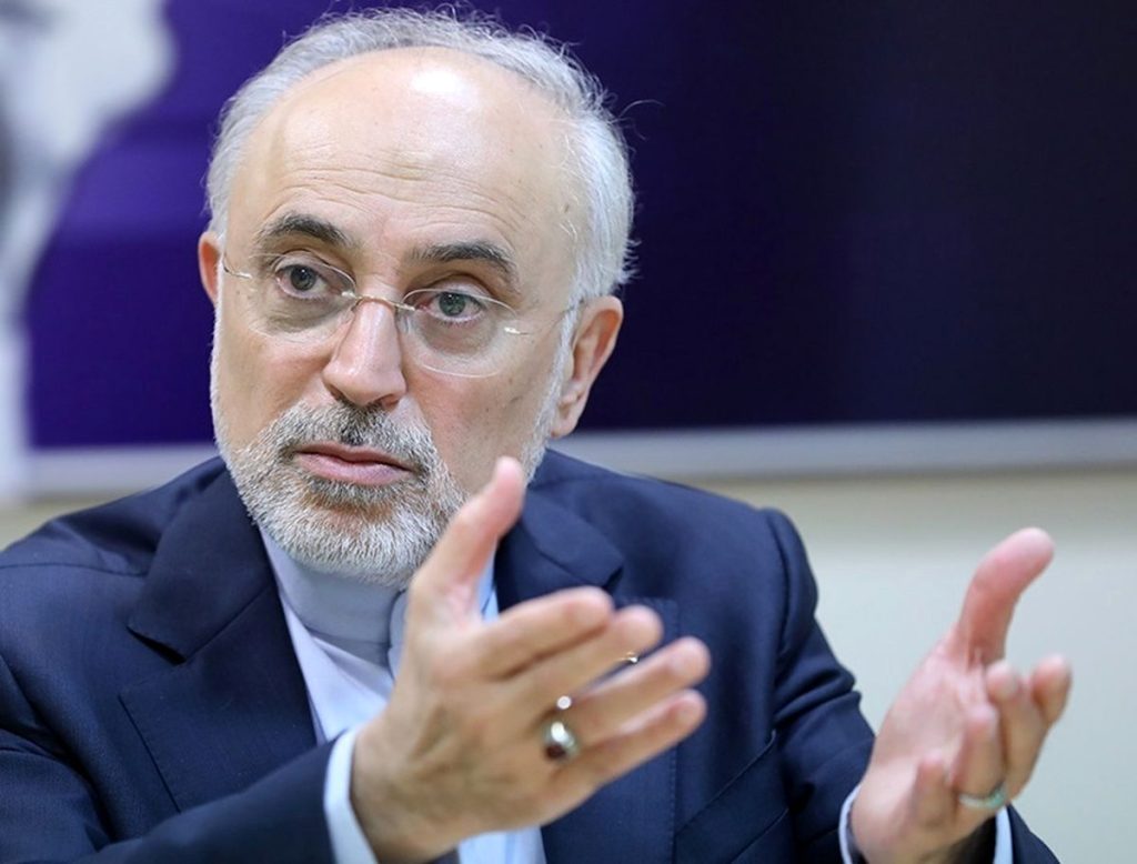 علی ‌اکبر صالحی: از دیوار بی‌اعتمادی ایران و آمریکا عبور نمی‌شود، مگر با بسیج کردن عقل، هوشمندی و حکمت سیاسی