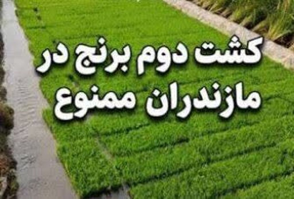 هشدار آب منطقه‌ای مازندران به کشاورزان/ پایان رهاسازی آب سدها و ضرورت پرهیز از کشت دوم