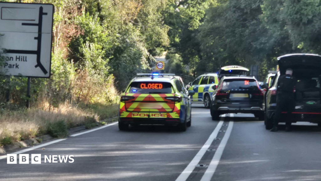 Man dies in crash after police pursuit