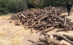 کشف 11 تن چوب و زغال قاچاق در کرمانشاه