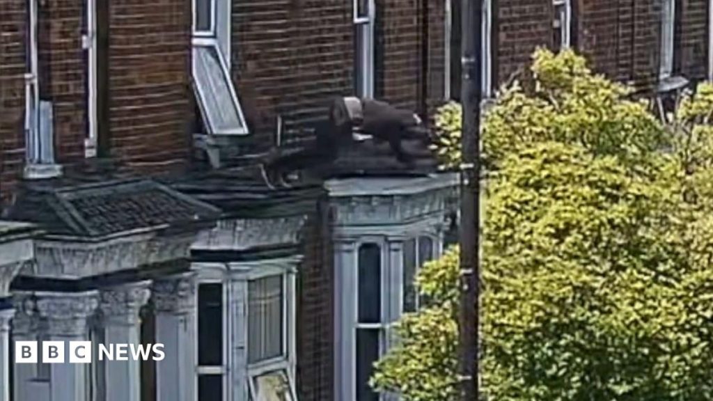 Five jailed after kidnap victim jumped from window