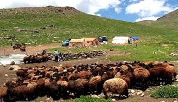 عرضه مستقیم محصولات عشایری استان تهران در بازارچه‌های فصلی و میادین میوه و تره‌بار