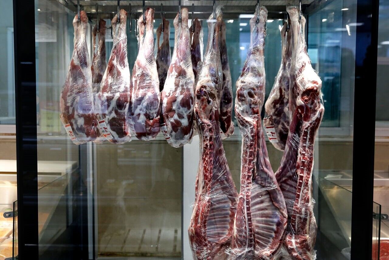 ماهیچه و آبگوشتی گوسفندی کیلویی چند شد؟ | قیمت جدید گوشت قرمز امروز ۱۱ شهریور ۱۴۰۵
