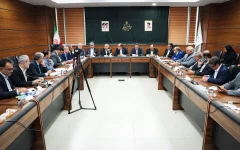 پایان انتظار برای تعیین تکلیف نیرو‌های غیررسمی؛ کمیته مشترک مجلس و دولت راهکار نهایی را در یک ماه ارائه می‌کند