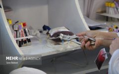 تیم سیار اهدای خون در کنگاور مستقر می‌شود