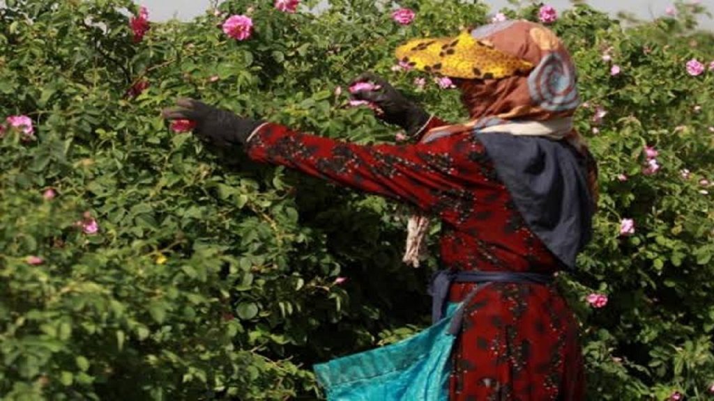 فعالیت ۱۵۶ صندوق خرد روستایی در آذربایجان شرقی