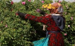 فعالیت ۱۵۶ صندوق خرد روستایی در آذربایجان شرقی