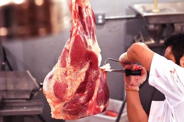قصابیهای غیرمجاز جوانرود به سمت کشتارگاه هدایت میشوند