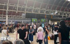Major disruption as grass fire halts all trains to Heathrow Airport