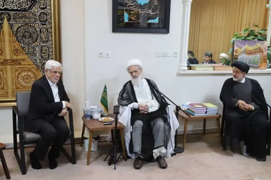 توصیه‌های آیت‌الله بیات زنجانی به عارف: دولت زخم دی‌ماه را ترمیم کند