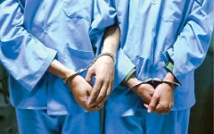 ۲ نفر از عاملان سرقت از پزشک بازداشت شدند