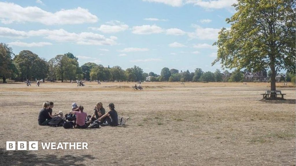 Temperatures could climb to 28C in late burst of warmth