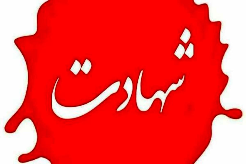 عکسی از نیروی ارتش که در حملات آمریکا به شهادت رسید