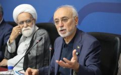 صالحی: ایران باید در نظم جدید جهانی استقلال راهبردی خود را حفظ کند