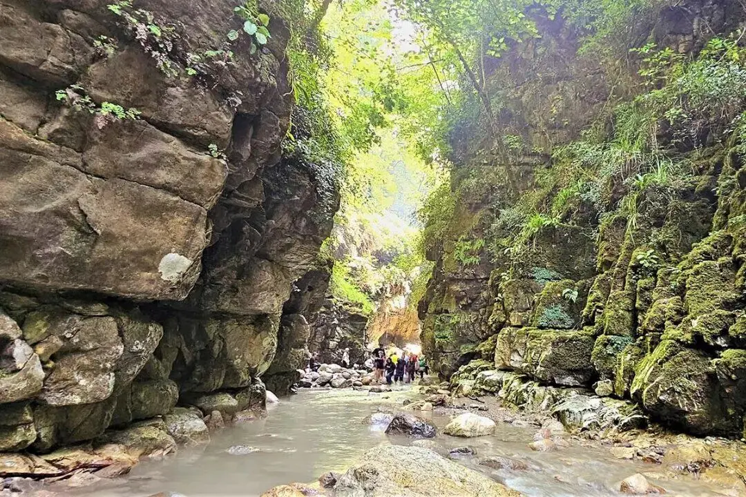 سفر یک روزه به آمازون ایران؛ تنگه دار نوشهر