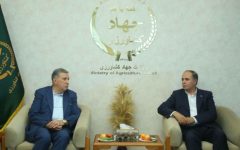 با حضور بخش خصوصی، اقتصاد کشور بهره‌ورتر و نوآورتر خواهد بود