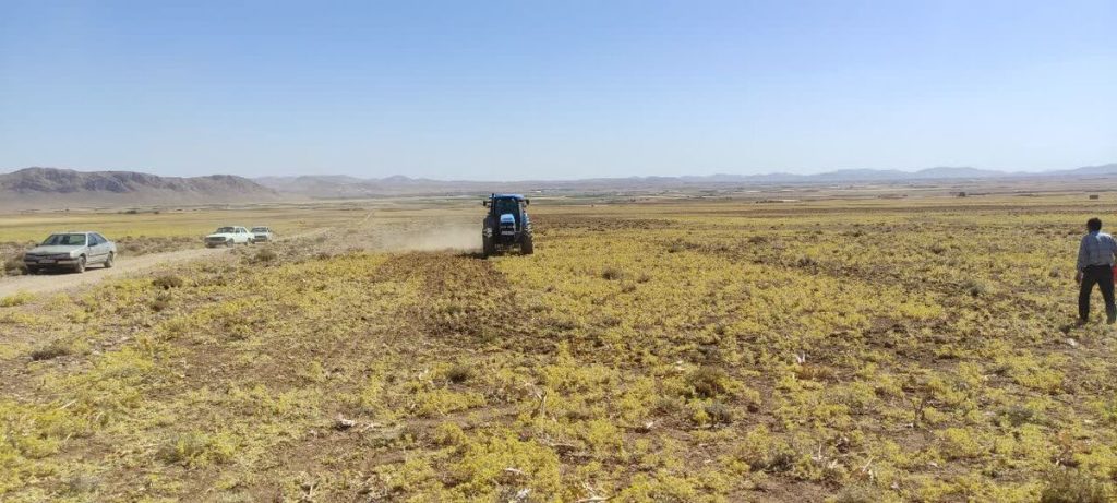 ظرفیت بالای چهارمحال و بختیاری در تولید گیاهان دارویی