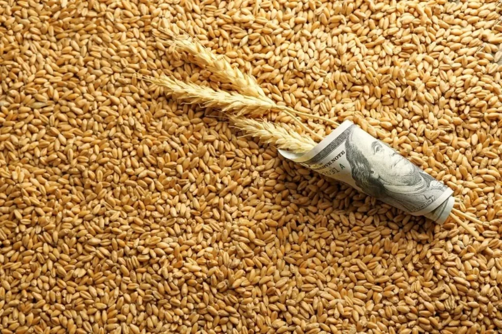 هشدار درباره بازار گندم؛ دلالان قیمت را تا ۶۰ هزار تومان بالا بردند