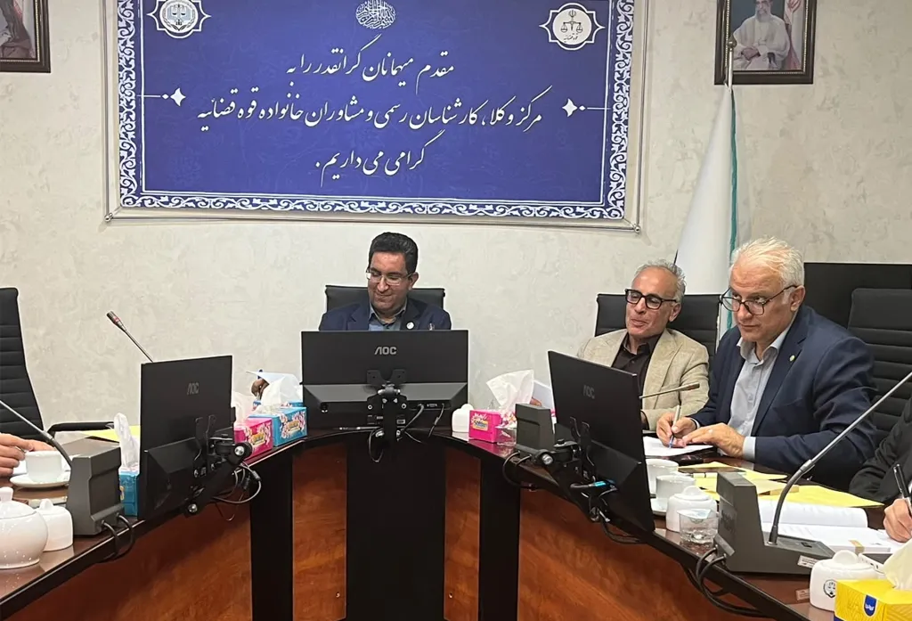 نخستین نشست کمیسیون‌های تخصصی فدراسیون بین‌المللی حقوق ورزشی برگزار شد