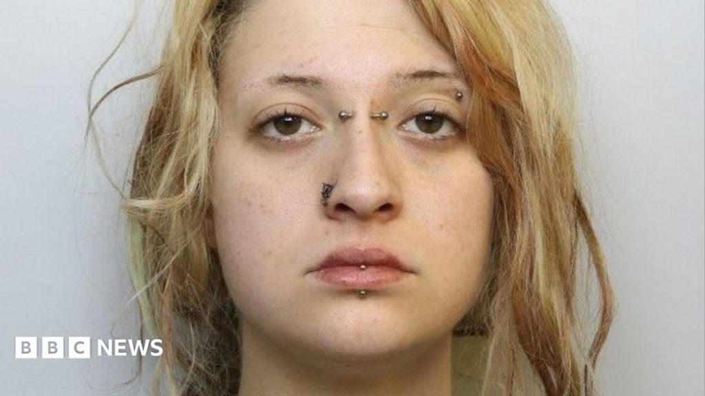 Woman whose XL bully dog killed her cousin given suspended prison sentence