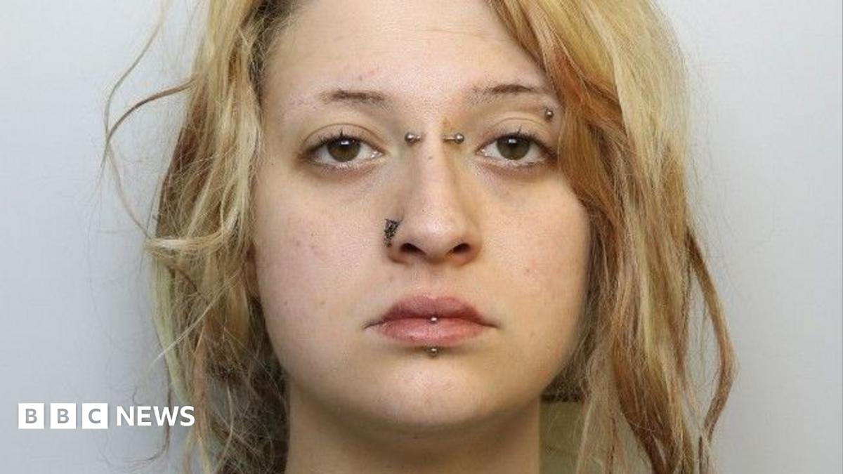 Woman whose XL bully dog killed her cousin given suspended prison sentence