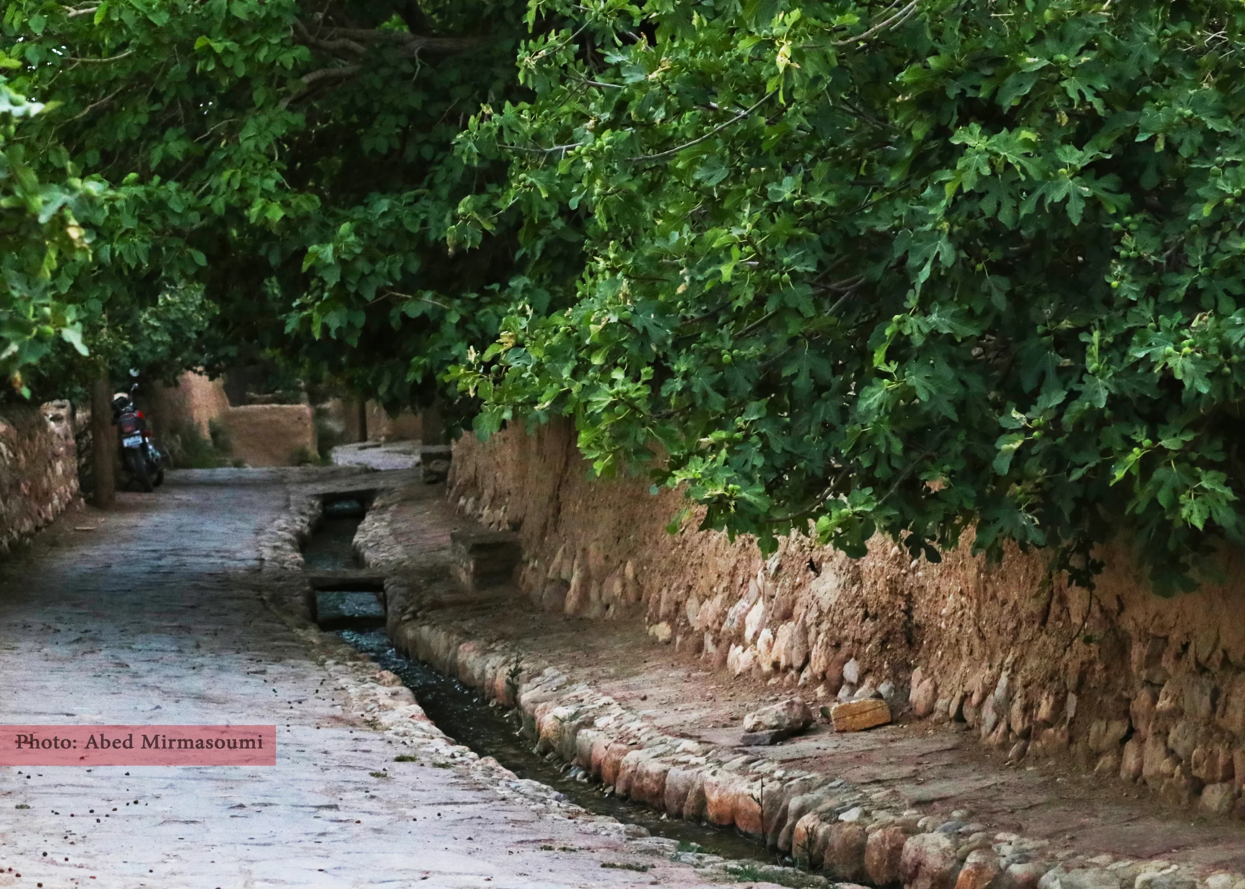 سمنان میزبان نشست «آب، تمدن، گردشگری»؛ آغاز گفتمان گردشگری تمدنی ایران