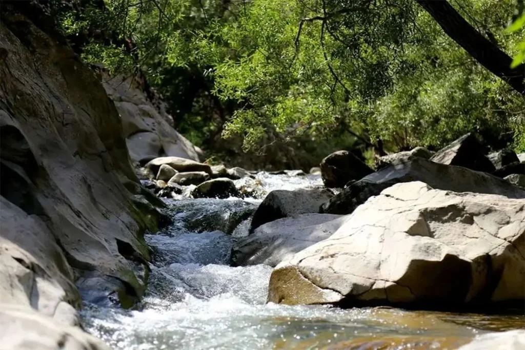 چال ماهی تهران کجاست؟ آدرس و مسیر دسترسی به این بهشت خنک
