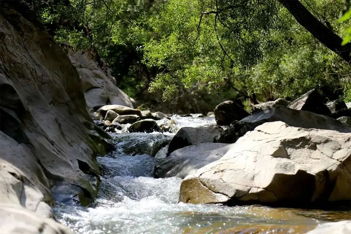 چال ماهی تهران کجاست؟ آدرس و مسیر دسترسی به این بهشت خنک