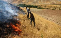 کاهش ۹۷ درصدی آتش‌سوزی مراتع زنجان با اقدامات پیشگیرانه