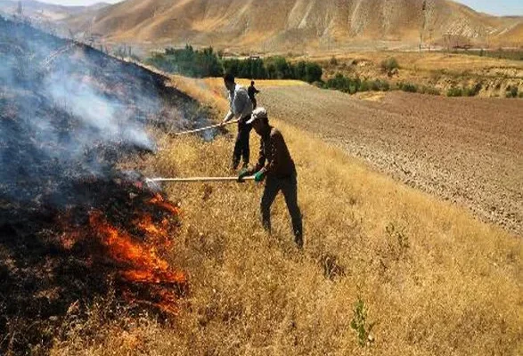 کاهش ۹۷ درصدی آتش‌سوزی مراتع زنجان با اقدامات پیشگیرانه