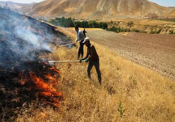 کاهش ۹۷ درصدی آتش‌سوزی مراتع زنجان با اقدامات پیشگیرانه