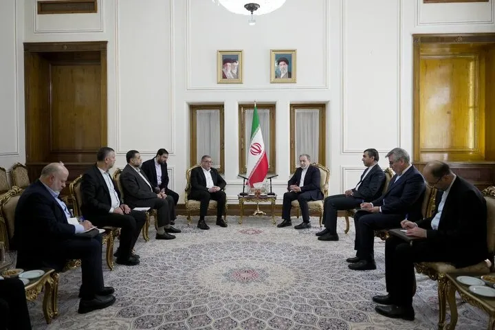 دیدار «باسم نعیم» با عراقچی