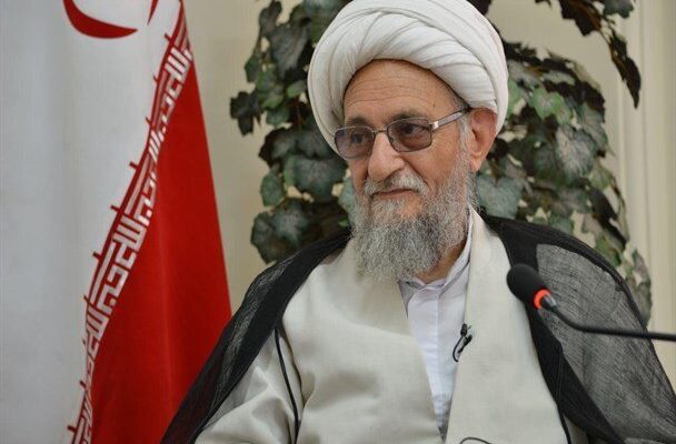 انتقد عضو خبرگان رهبری از عملکرد دولت/ اینکه کمبود نبوده، هنر دولت نیست/ در رابطه با قیمت و قیمت‌گذاری، اصلاً موفق نبودند