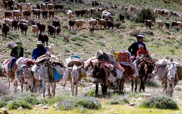 هشدار رئیس اداره امور عشایر باغملک نسبت به ناپایداری‌های جوی و توصیه به اسکان ایمن عشایر