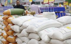 قیمت برنج برای کشاورز مناسب است؛ مصرف کنندگان حمایت شوند
