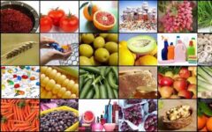 دستیابی فناوران کشورمان به توسعه دانش فنی تولید رنگدانه‌های طبیعی