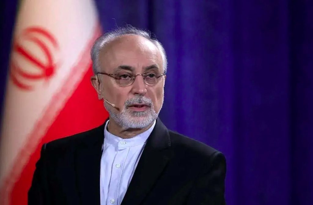 علی اکبر صالحی: اساس درگیری غرب با ایران موضوع هستهای نیست/ باید از این وضعیت با حداقل هزینه خارج شویم