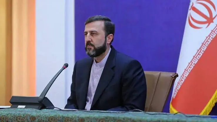تشریح مهمترین محور‌های بیانیه پایانی اجلاس سران بریکس توسط غریب آبادی