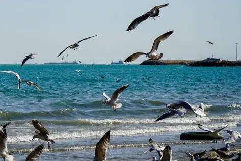 هشدار رگبار و رعد و برق برای ۱۰ استان / هشدار دریایی برای جنوب کشور