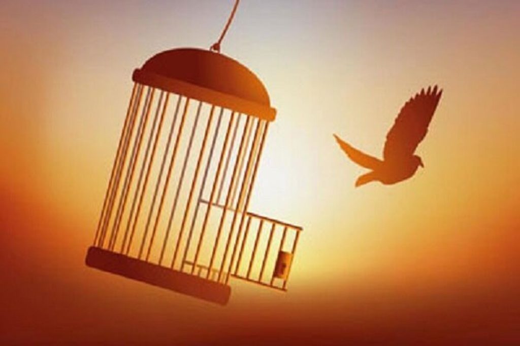 ستاد دیه کشور از مسیری آسان و امن برای آزادی زندانیان غیرعمد خبر داد