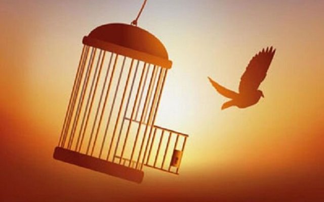 ستاد دیه کشور از مسیری آسان و امن برای آزادی زندانیان غیرعمد خبر داد