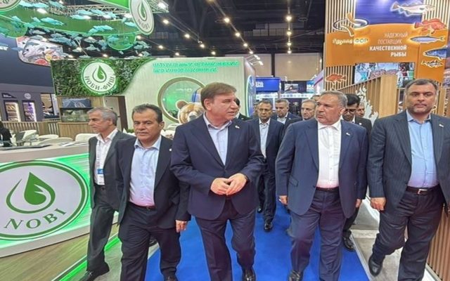 توسعه بازارهای صادراتی بوشهر در حوزه صنایع غذایی و شیلات